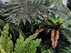 -国家植物园南园