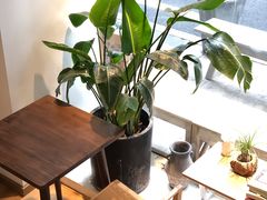 -隐琢咖啡(汉街店)