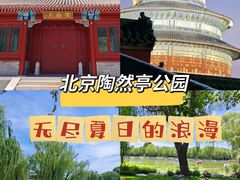 -陶然亭公园