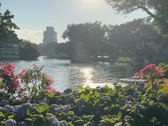-荔湾湖公园