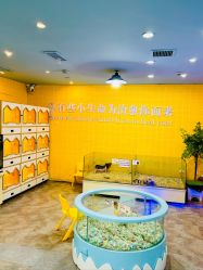 -神奇动物撸宠馆·羊驼·小浣熊·异宠(豫园店)