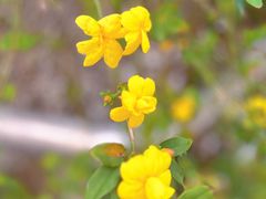 -苏州河梦清园环保主题公园