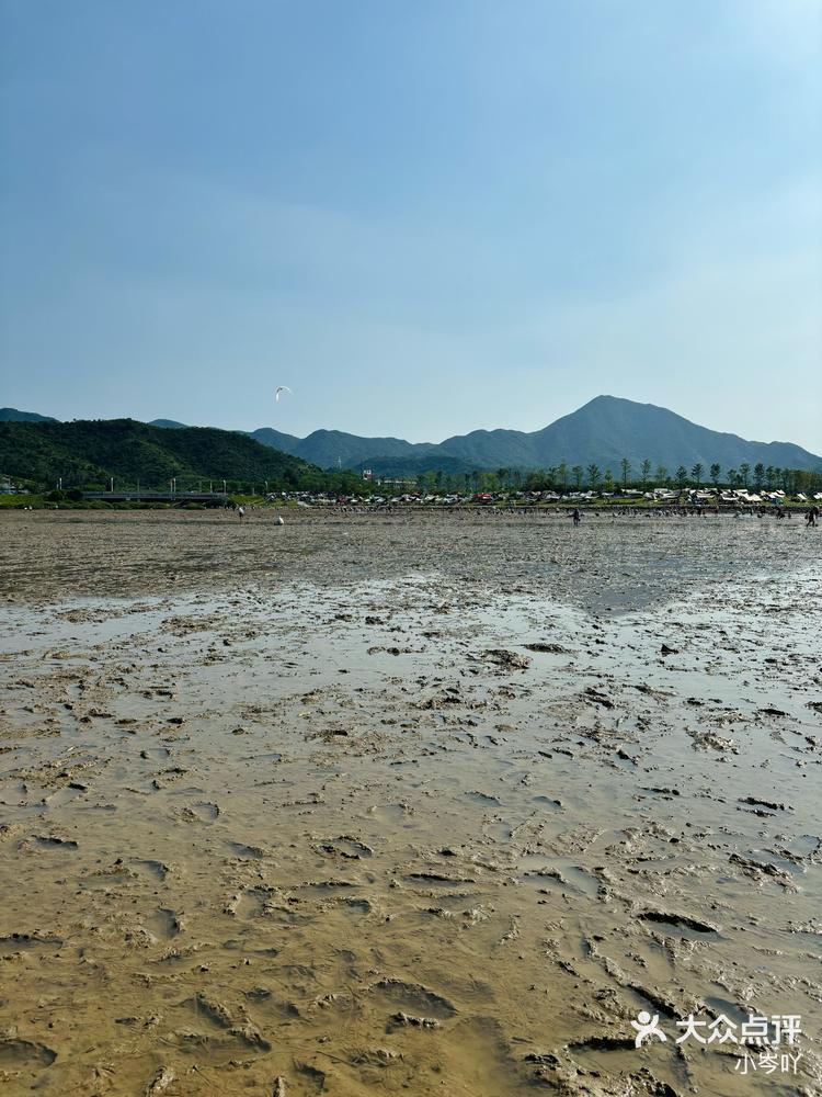 深圳周末去哪儿当然是去坝光沙滩赶海啦