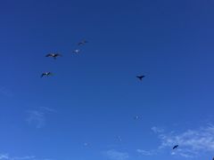 -乌达雅堡