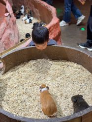 -Zoolung Zoolung动物主题公园(海信广场店)