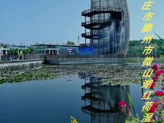 -滕州微山湖红荷湿地景区