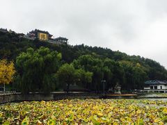 -北山公园