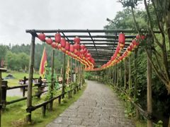 -常德桃花源景区