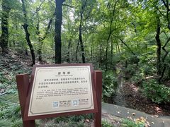 -灵谷景区
