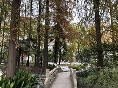 -中山公园