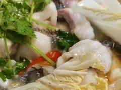 -大鼎石锅鱼(春江里店)