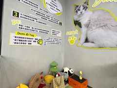 -上海浦东smart汽车全功能店(金桥店)
