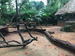 -海南热带野生动植物园