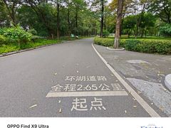 -海珠湖公园