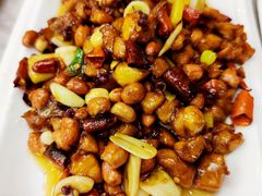 -陈麻婆豆腐总店