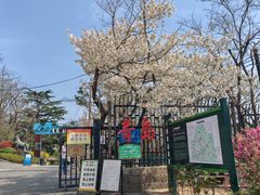 -青岛海滨风景区