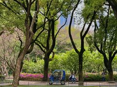 -中山公园
