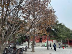 -大钟寺古钟博物馆