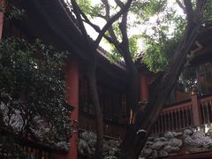 -醉云喃