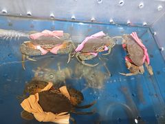 -盒马鲜生(枣园路店)