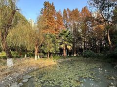 -苏州河梦清园环保主题公园