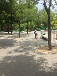 -大望京儿童游乐场