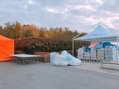 -莫斯科大学