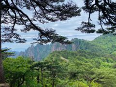 -黄山风景区