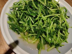 -鸽子窝(宋庄店)