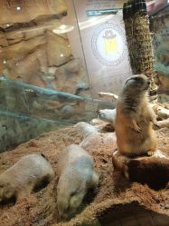 -Zoolung Zoolung动物主题公园(海信广场店)