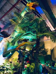 -恐龙探索乐园(磁器口店)