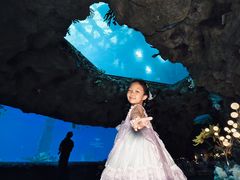 -南昌融创海世界