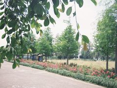 -漩门湾国家湿地公园