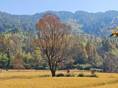 -塔川景区