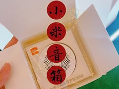 -梅龙镇广场