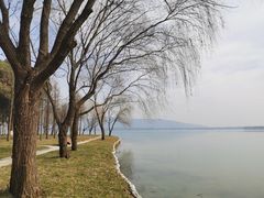 -尚湖风景区