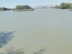 -长广溪湿地公园