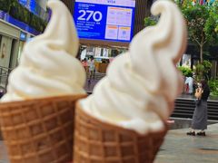-富豪雪糕车流动点(尖沙咀店)