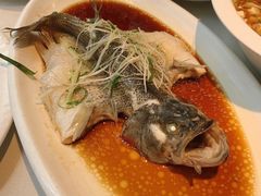 港式清蒸鲈鱼-春暖花开(西溪店)