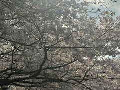 -杭州少年儿童公园