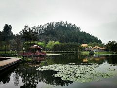 -顺峰山公园