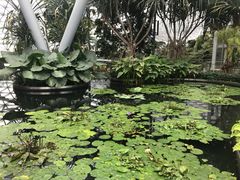 -樟宜机场免税店