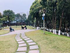 -重庆市江北嘴中央商务区中央公园