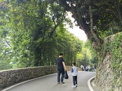 -莫干山风景区