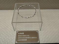 -吉林市博物馆