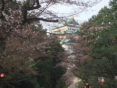 -名古屋城