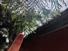 -颐和园