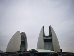 -香港深井掂檔烧鹅茶餐厅(海韵城店)