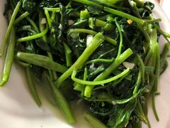 -煲来饱去冷水鱼