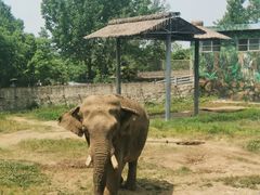 -西安秦岭野生动物园